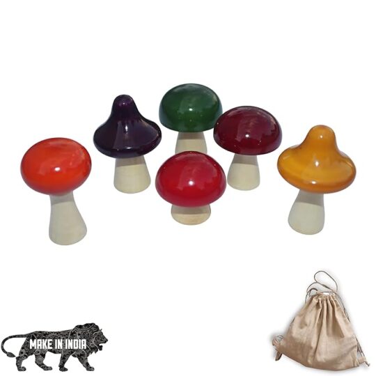 Handmade 6 PCS Wooden Pretend Play Toy Mushroom Set Kitchen Toy for Little Boys and Girls Non Toxic Handmade and Vegetable Painted with a Storage Bag (Mushroom)